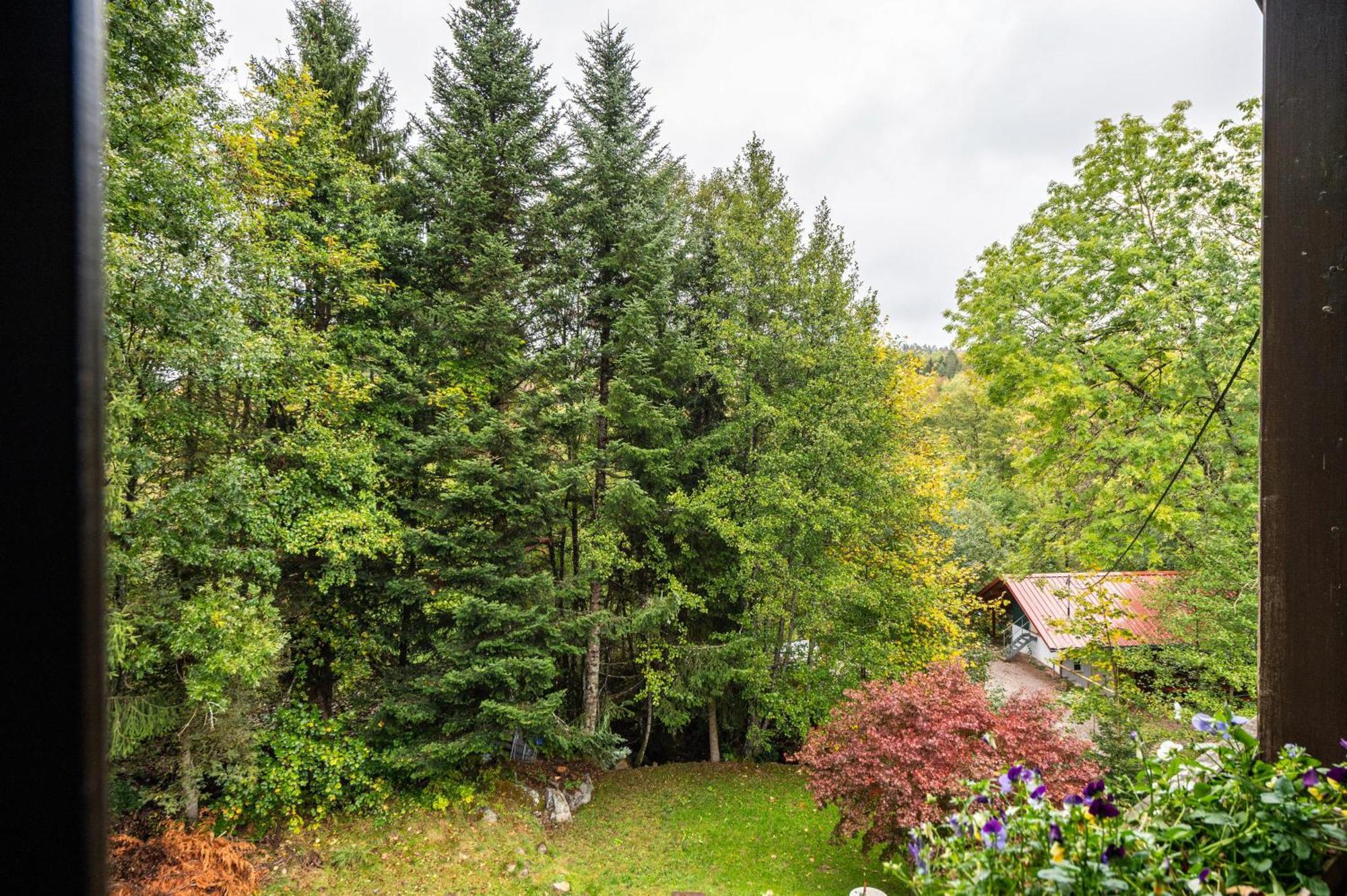 Landhaus Am Schmiedebach Wittenschwand ภายนอก รูปภาพ