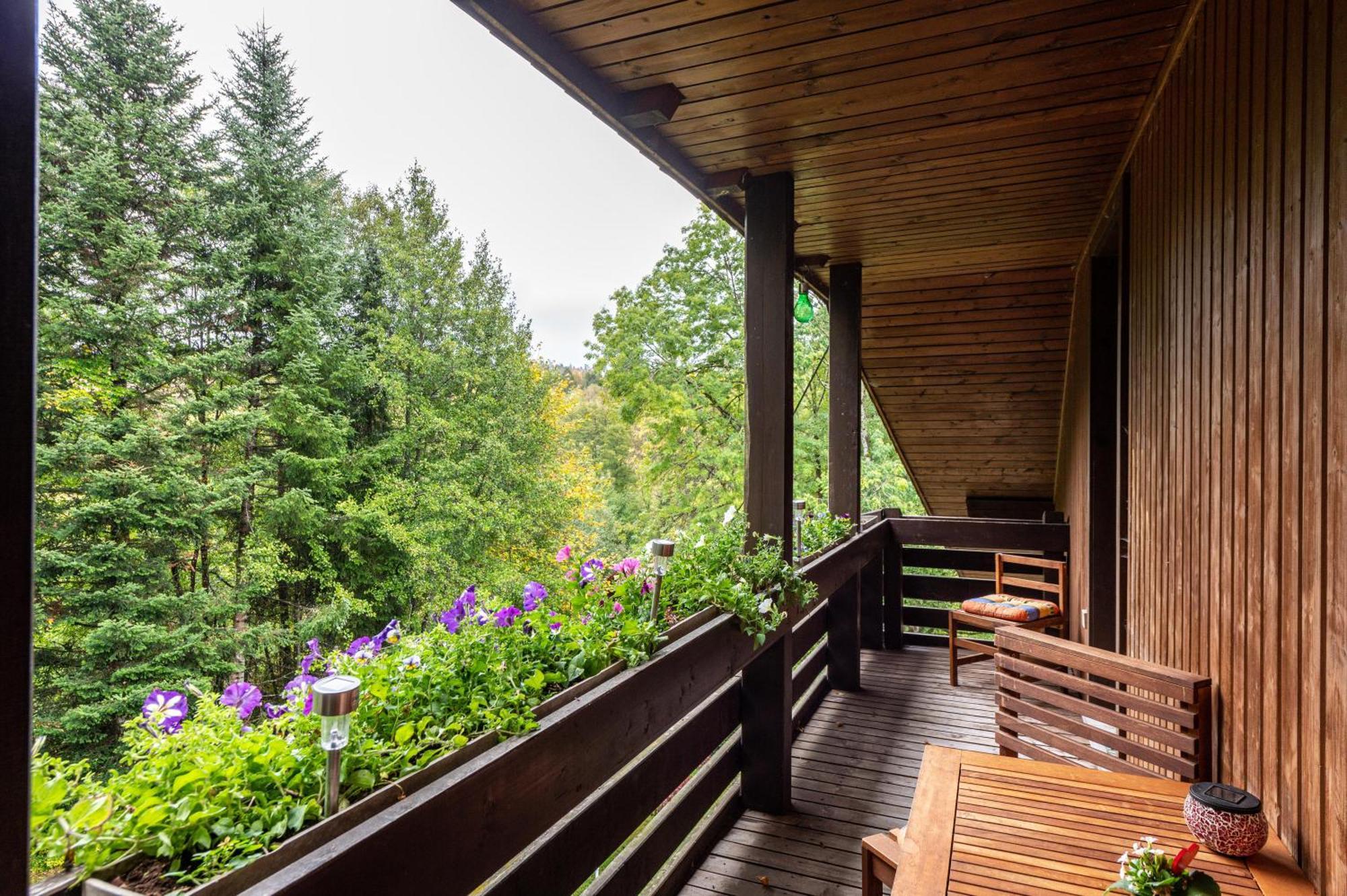Landhaus Am Schmiedebach Wittenschwand ภายนอก รูปภาพ