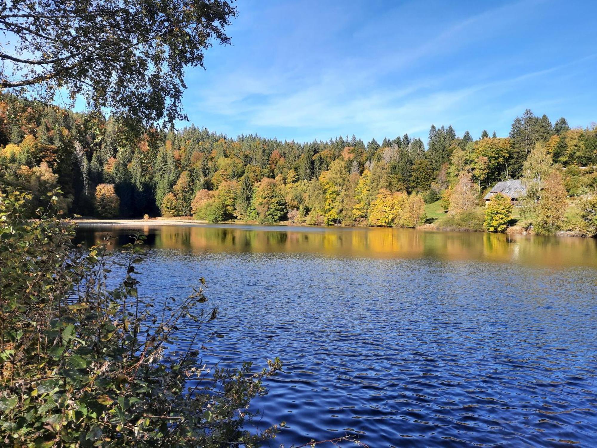 Landhaus Am Schmiedebach Wittenschwand ภายนอก รูปภาพ